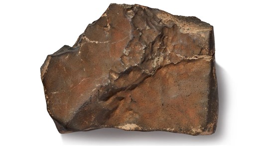 World’s Largest Martian Meteorite Up For Auction Could Reach Whopping $2-4 Million