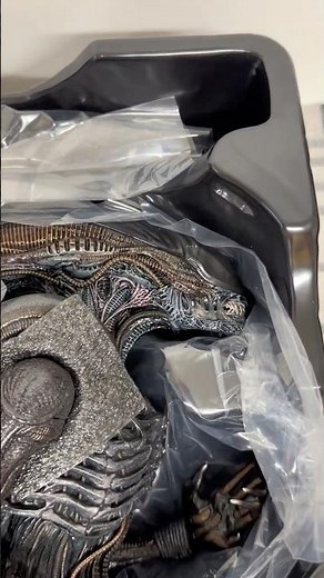 *Quick look* At Hot Toys Scorched Xenomorph From Alien Romulus!