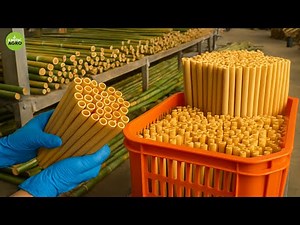 How Millions of Eco Friendly Bamboo Products Are Mass Produced