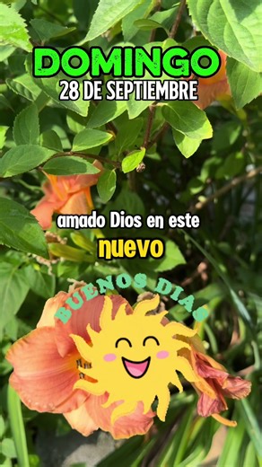 Motivational Quotes for a Productive Sunday