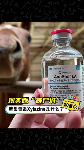 现实版 ”丧尸城“ 新型毒品Xylazine是什麽？#Xylazine #新兴毒品 #丧尸药 #XUAN