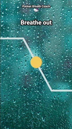 Breathing Exercises for Anxiety and Stress | 5-5-5-5 Box Breathing Guide