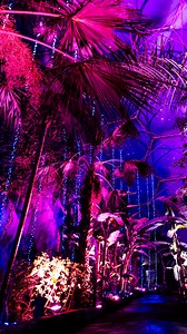 1.8K views · 449 reactions | All aboard the Christmas Express  ✨ Our Christmas lights will be on every night from Thursday until 4 Jan (excluding 24-25 Dec) ✨ ️ Tickets, please… book your festive adventure via our website. Did you know that if you live in Cornwall or Devon you can save money on admission with a Local’s Pass? 朗 #ChristmasLightsCornwall #ChristmasLights #PolarExpress | Eden Project | Facebook