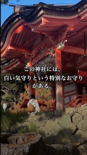 狼が守る神社【三峯神社】関東最強パワースポットの白い気守りの秘密