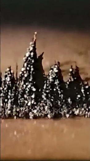 Healing Frequencies: How Sound Shapes Matter | Cymatics Explained