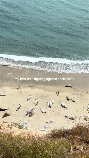 Beach vs. Mountains: The Ultimate Travel Showdown