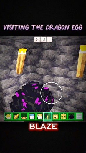 Visiting The Dragon Egg 😬🥚!! #minecraft