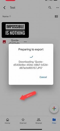 How to share files from Google Drive on iPhone