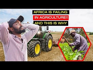 THE 5 MAIN REASONS WHY FARMERS FAIL IN AFRICA