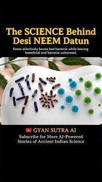 Why Neem Datun Works Better Than Toothbrushes