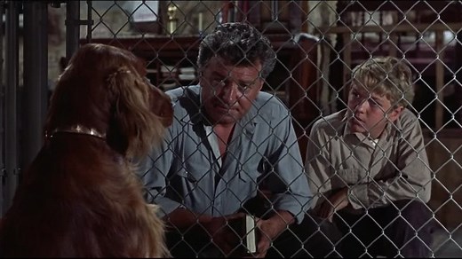 Big Red (1962) (1080p) +subtitle