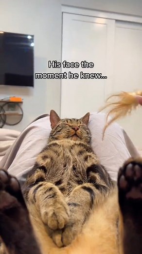 Descibe Chase using one word..#fyp #foryou #foryoupage | Kareem