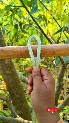Top Rope Knot You Must Know 🪢💥 | Become a Legend! #skills #tricks #camping #knowledge