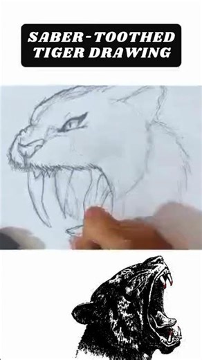 How to draw Saber Tooth 🐯 easy and simple for kids
