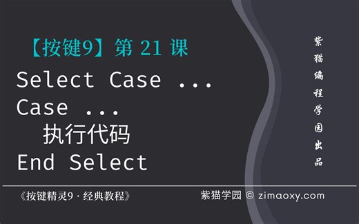 【按键9】第21课 情况条件选择命令Select Case - 《按键精灵9 · 经典教程》