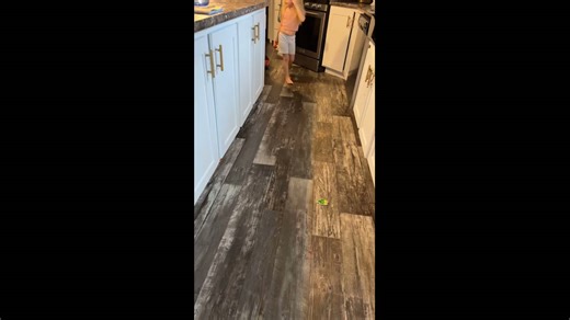 Cat calmly rides toy cart as kids circle the kitchen in in Troutville, Pennsylvania, USA
