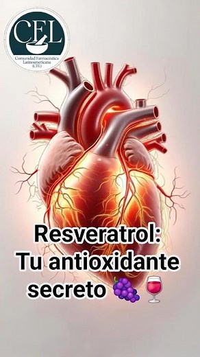 What is Resveratrol? Benefits and Natural Sources 🌿