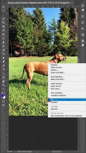 Remove Any Object or Subject in Photoshop #photoshoptipsandtricks #photoshop_tutorial l