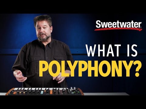 All About Polyphonic Perception (& Why TikTok Is Obsessed With It)