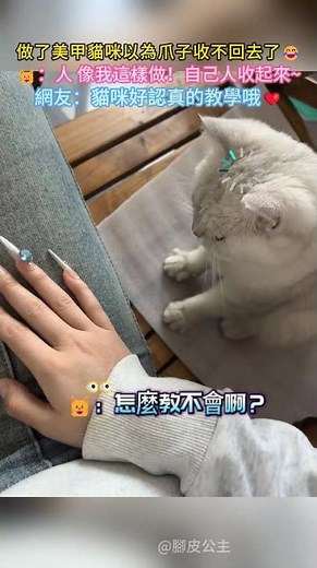 人做了美甲 貓咪以為爪子收不回去了😂 🐱：人 像我這樣做！自己人收起來❤️~網友：貓咪好認真的教學啊💖 #cat #cute #funny #shorts #funnyshorts