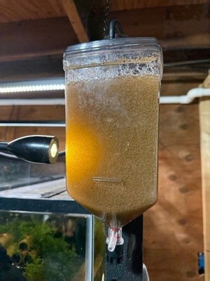 Premium Brine Shrimp Eggs – High Hatch Rate Artemia 90%. 1, 2 and 3oz | eBay