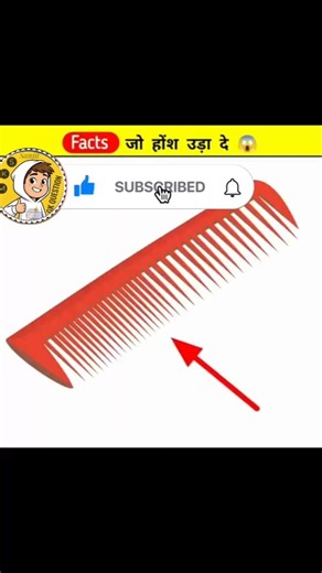 SCIENCE AMAZING FACT TIPS #shortsfeed #science #facts #factshorts #factory #shorts