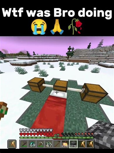BRO, WTF 🗿🤌 #minecraft #memes