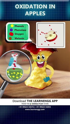 What is Oxidation Process in Apples Explained | LearnEngg #shorts