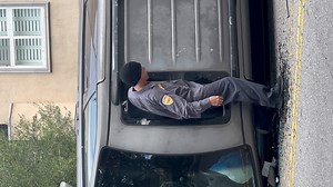 46K views · 81 reactions | Unexpected entrance | Funny Videos | Facebook