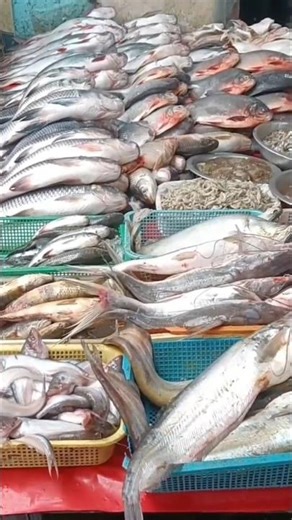 #fish shop #youtub short viedo #vairal short viedo#fish recipe