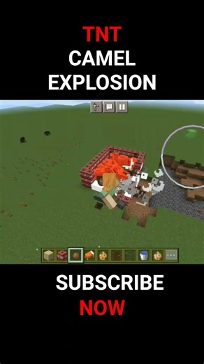 Minecraft TNT camel explosion #minecraft #explosion