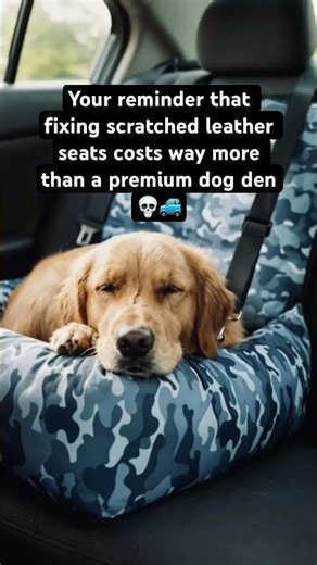 How to prevent dog scratches on leather seats! 🛑 leather #shorts