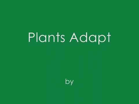 Plants Adapt