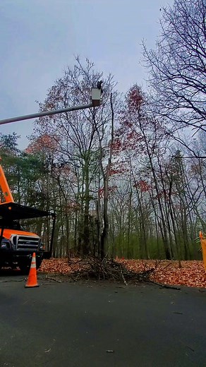 15 reactions | Mark's Tree Service was at the Woods Resort on...