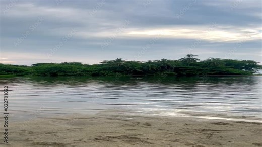 Agua de río con fondo de selva tropical y cielo al atardecer