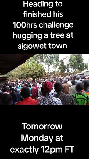 100-Hour Tree Hugging Challenge at Sigowet Town