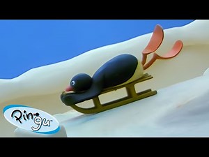 Pingu Toboganning 🐧 | Pingu - Official Channel | Cartoons For Kids
