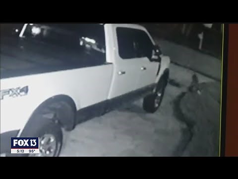 Video shows coyote snatch dog from front yard of Pasco home