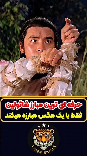 حرفه ای ترین مبارز شائولین با مگس مبارزه میکند! معرفی بهترین فیلم ها و سریال های جهان #moviereview