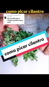 Tips for Cutting Culantro: Fine Chopping Techniques
