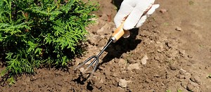 Spulchnianie gleby w ogrodzie - ręczne i maszynowe. Jak i czym spulchniać ziemię w ogrodzie?