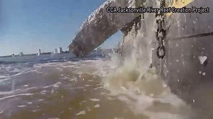 Underwater reef project creates new home for fish