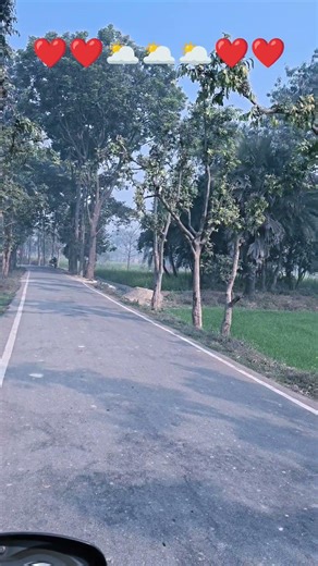 Peaceful Village Road ViewGreen Fields & Nature Vibes 🌳#VillageLife#NatureView#RuralRoad#GreenFields