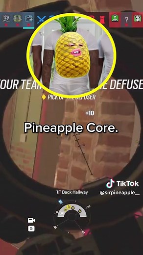 Funny Rainbow Six Siege Clips Featuring Pineapple