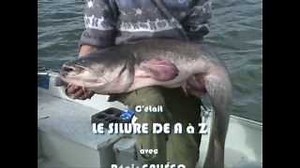Documentaire | Le silure de A à Z