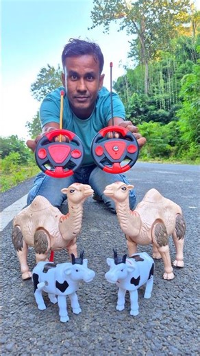 rc remote Control 2to camel 🐫 and 2to cow 🐄 unboxing review #shortsviral