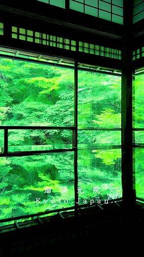 瑠璃光院の春の特別拝観