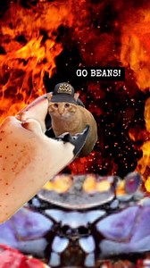 Attack of the Hell Crabs. #memes #catmemes #animation #animating #meme #cats #cat #funnycats | Catswithhardhats