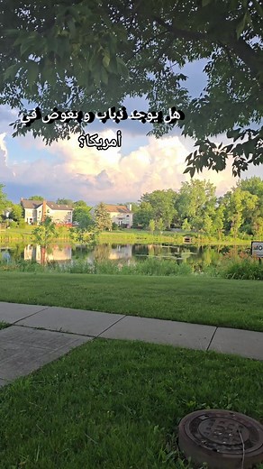 10K reactions · 1.3K comments | هل يوجد ناموس و ذباب في أمريكا ؟ . . . . . . #usa #algeria #weather #insects #moustiques #reelsvideoシ | Raouf Hachemi | Facebook