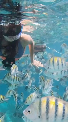 83 reactions · 5 comments | Paradise on Isla Mujeres!  Dive into crystal-clear waters, stroll vibrant streets, and savor fresh seafood by the beach. Your tropical escape begins here. ️☀️  Isla Mujeres, Mexico #SelinaIslaMujeres  @itzelgarr #selina #selinalife #selinamexico #travelmexico #exploremexico | Selina | Facebook